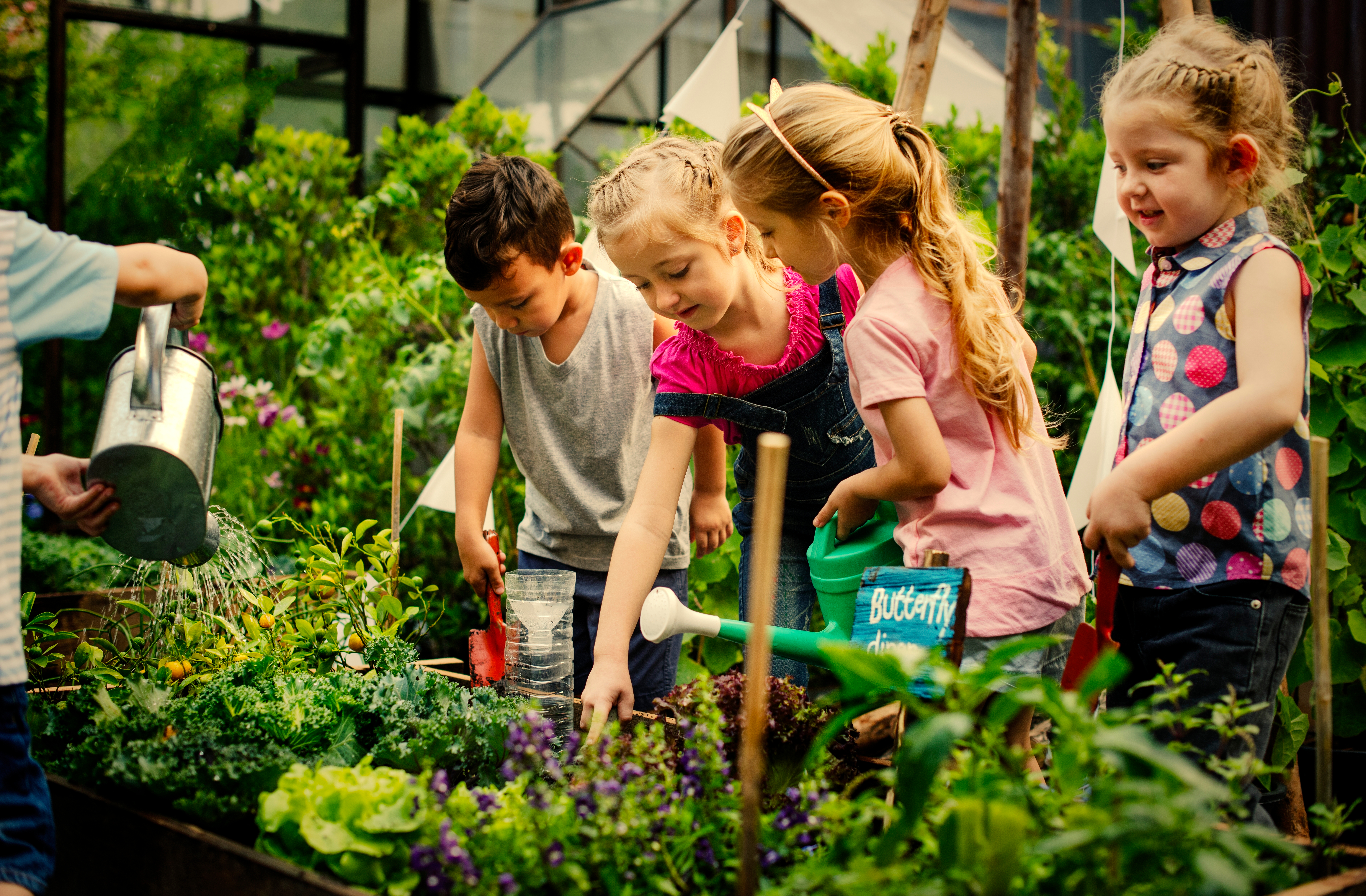 Сад обучение. Обучение садоводству. Kids Garden. The little Gardener. Фото обучение школьников садоводству.